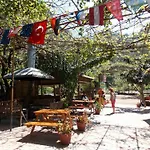 Olympos Orange 3*