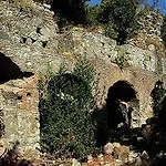 Olympos Orange Kumluca