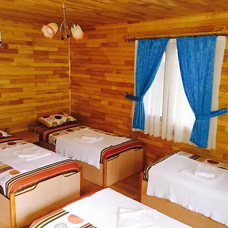 Olympos Orange Kumluca