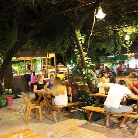 Olympos Orange 3*
