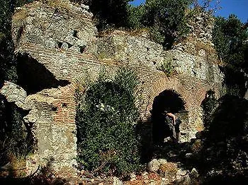 Olympos Orange Kumluca